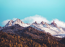 雷速官网-WTA多哈站：郑钦文战胜帕克斯晋级16强将战莱巴金娜